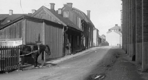 Häst på tjugotalet. Foto: Sjöbergska samlingen, Länsmuseet.